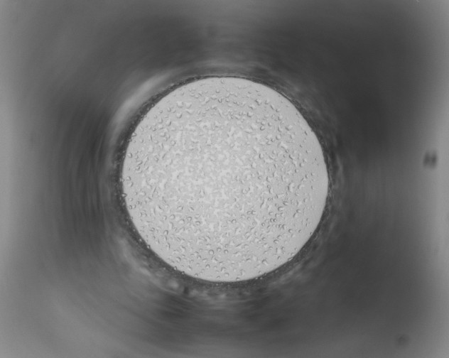 X0000111490343200908251030