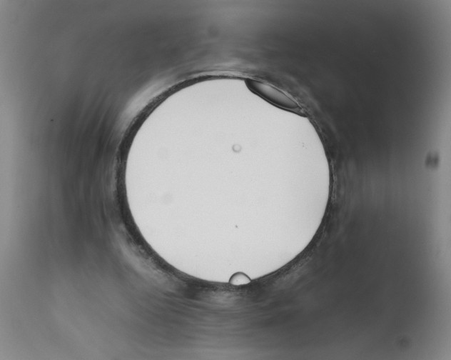 X0000111490344200908251030