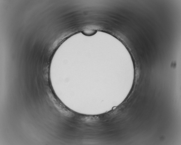 X0000111490345200908251030