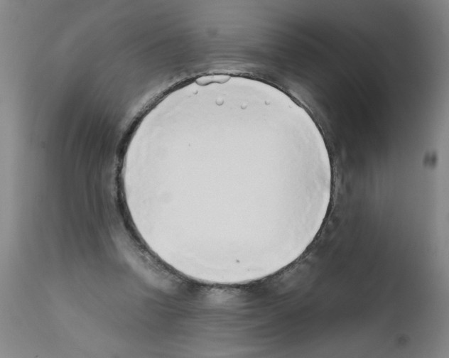 X0000111490346200908251030