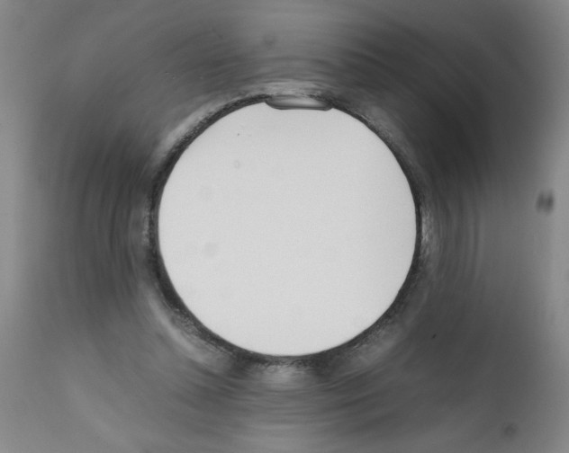 X0000111490348200908251031
