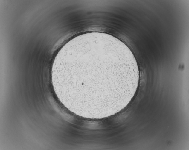 X0000111490349200908251031