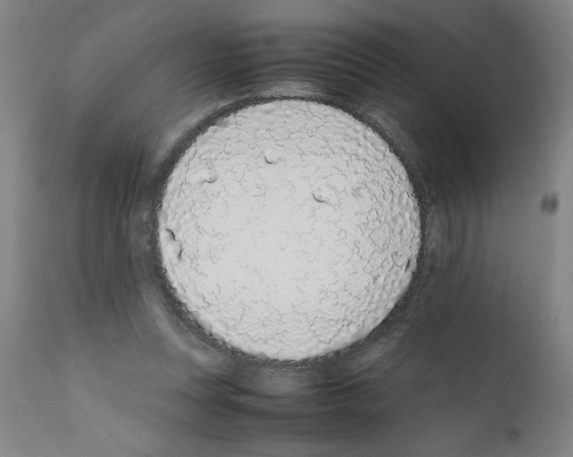 X0000111490351200908251031