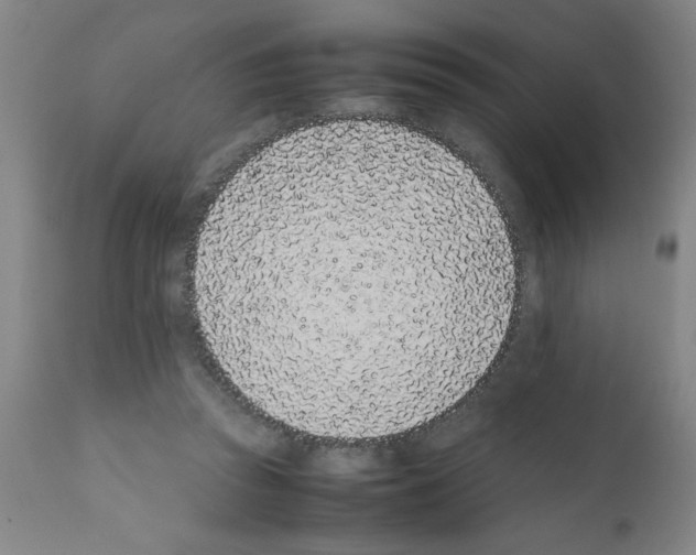 X0000111490353200908251031