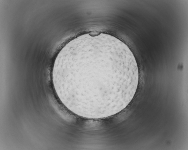 X0000111490354200908251031