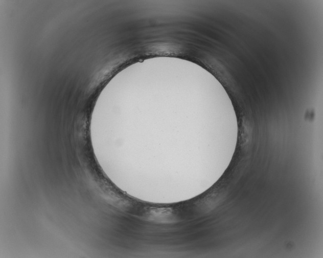 X0000111490355200908251031