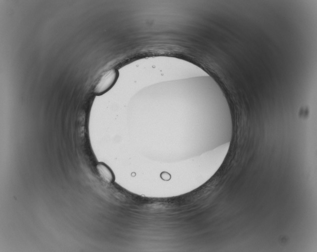 X0000111490356200908251031