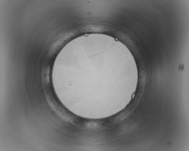 X0000111490358200908251031