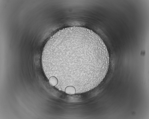 X0000111490359200908251031