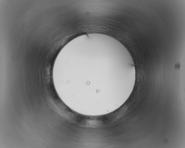 X0000111490360200908251031