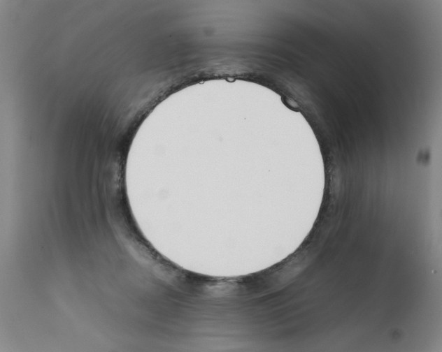 X0000111490362200908251031