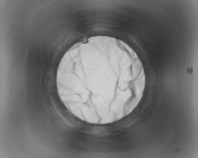 X0000111490363200908251031