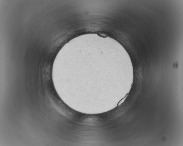X0000111490364200908251031