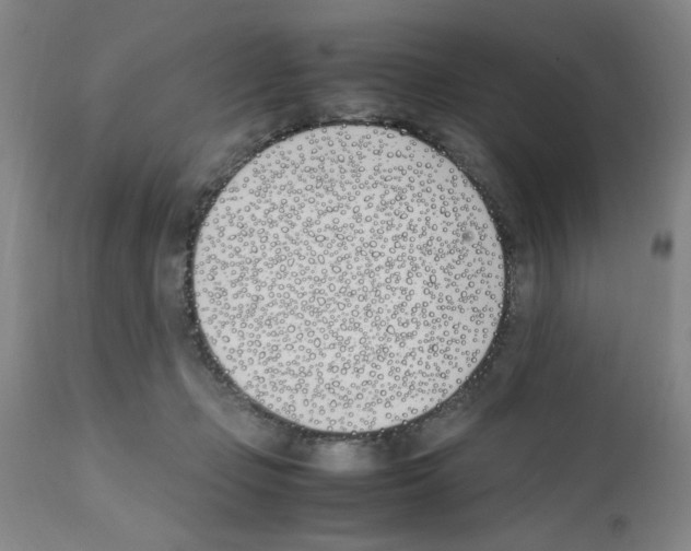 X0000111490365200908251031
