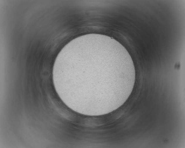 X0000111490367200908251031