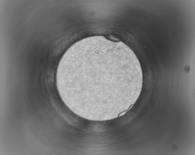 X0000111490368200908251031