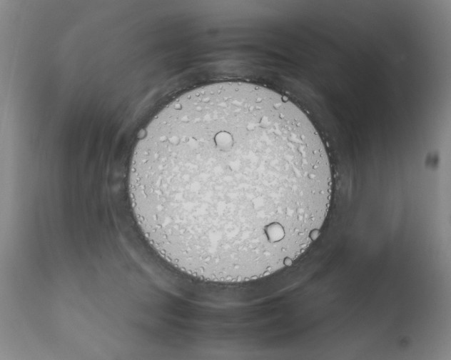 X0000111490369200908251031
