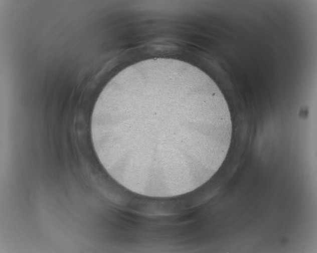 X0000111490371200908251031