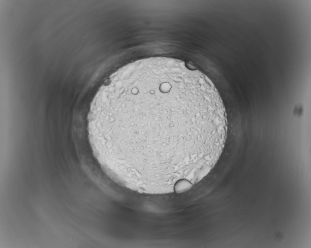 X0000111490373200908251031