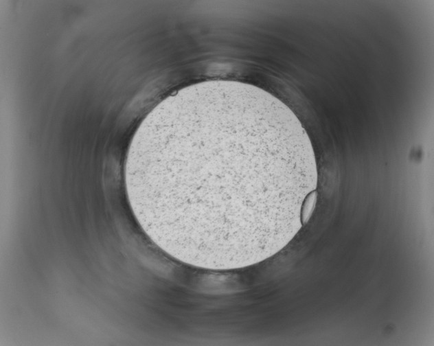 X0000111490375200908251031