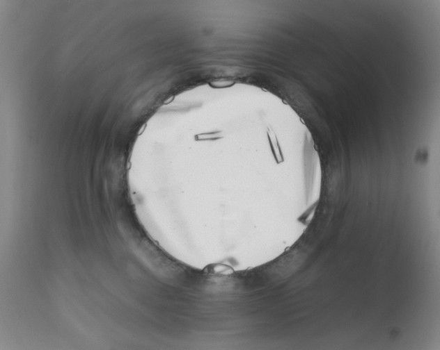 X0000111490376200908251031