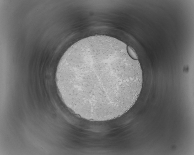 X0000111490377200908251031