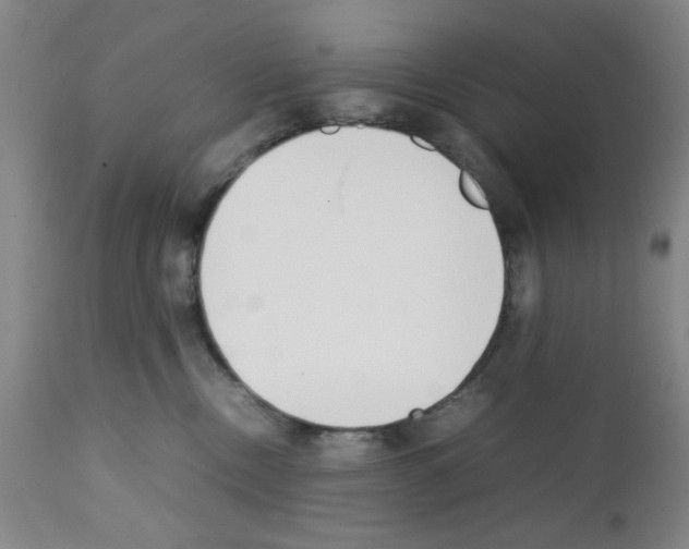 X0000111490378200908251031