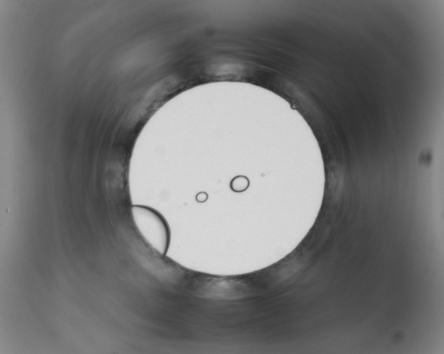 X0000111490379200908251031