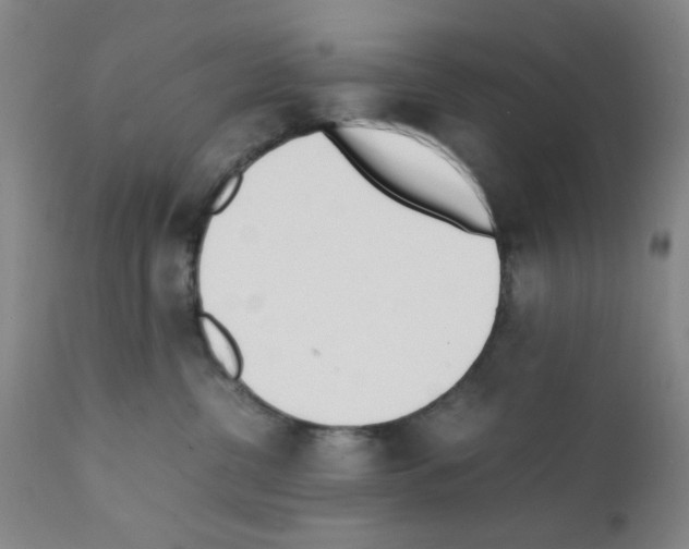 X0000111490380200908251031