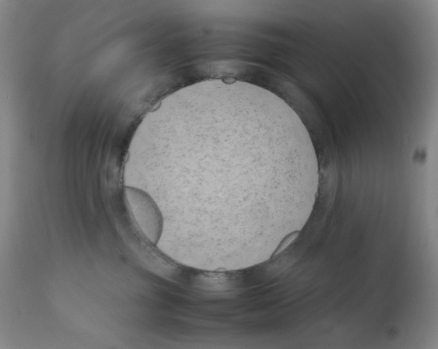 X0000111490381200908251031