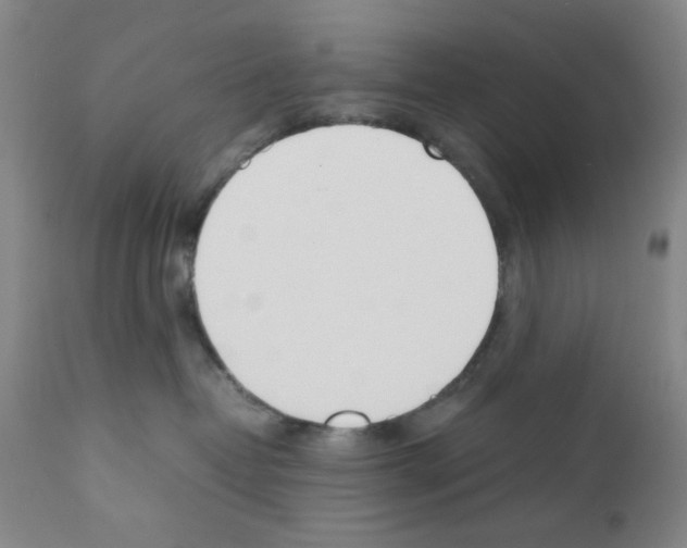 X0000111490382200908251031
