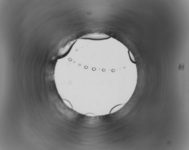 X0000111490384200908251031