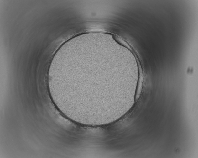 X0000111490385200908251030