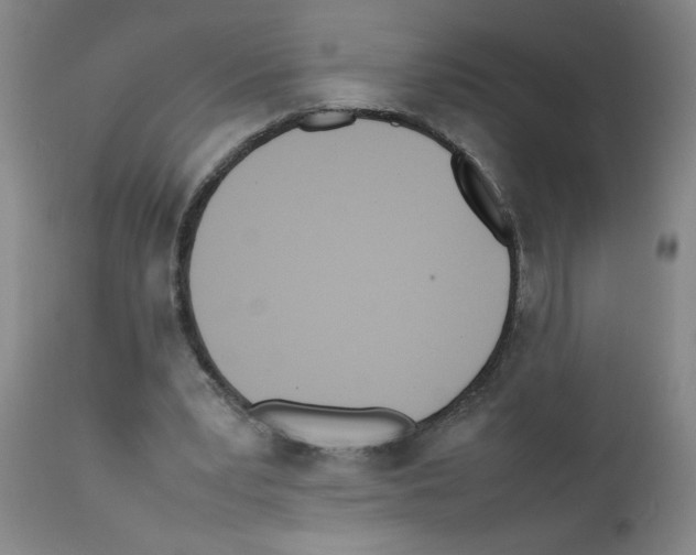 X0000111490391200908251030