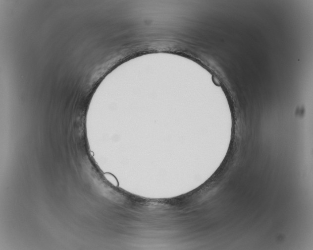 X0000111490393200908251030