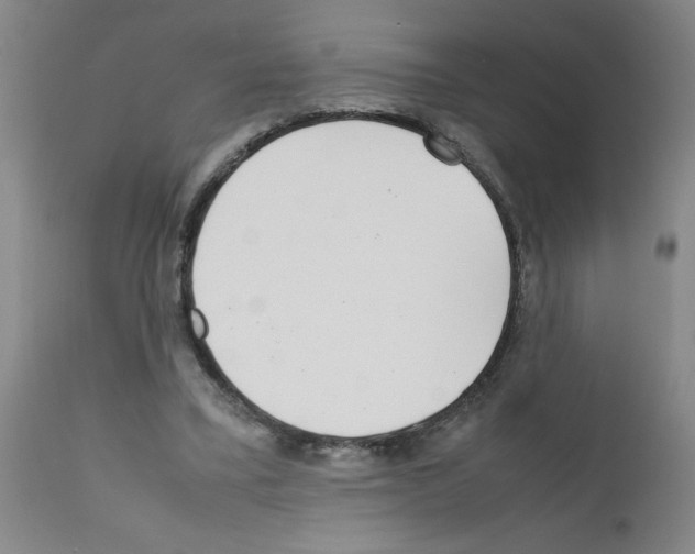 X0000111490395200908251030