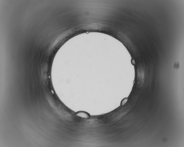 X0000111490396200908251030