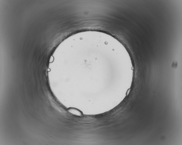 X0000111490397200908251030