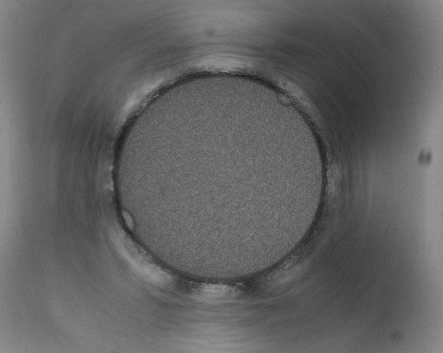 X0000111490399200908251030