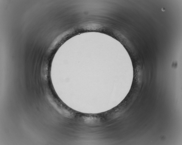 X0000111490400200908251030