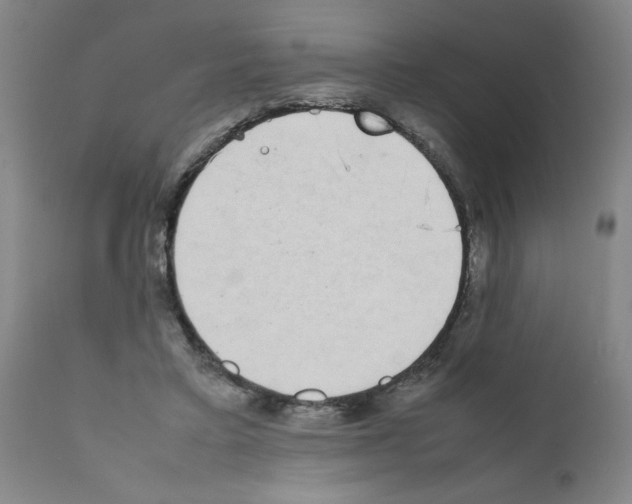 X0000111490403200908251030