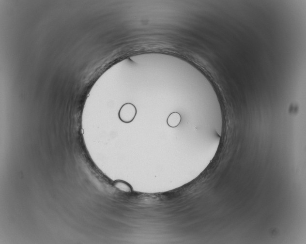 X0000111490405200908251030