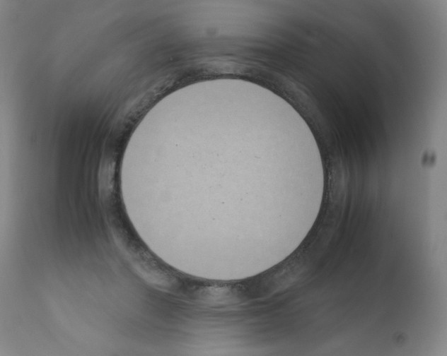 X0000111490406200908251030