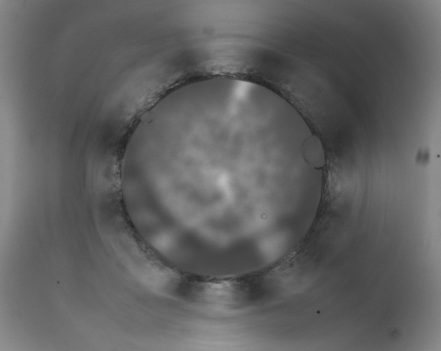 X0000111490411200908251030