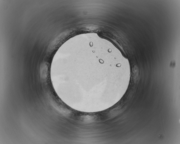 X0000111490412200908251030