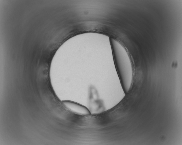 X0000111490413200908251030