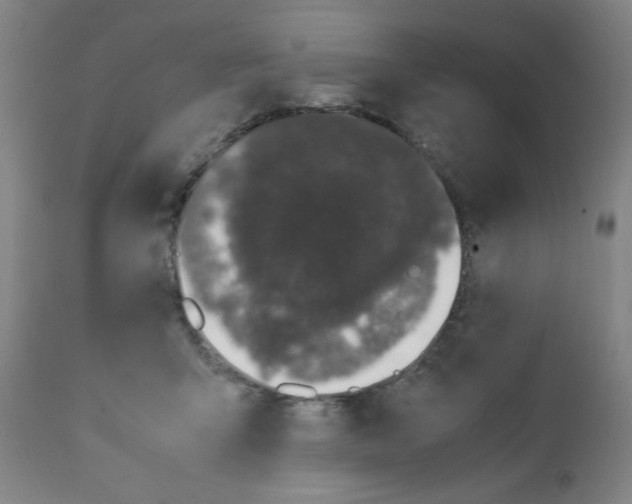 X0000111490415200908251030