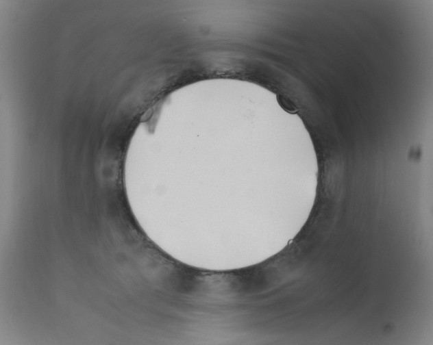 X0000111490417200908251030