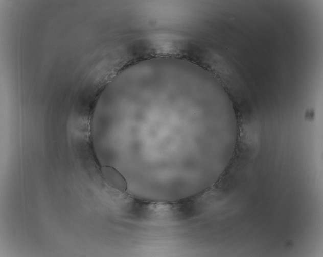 X0000111490419200908251030