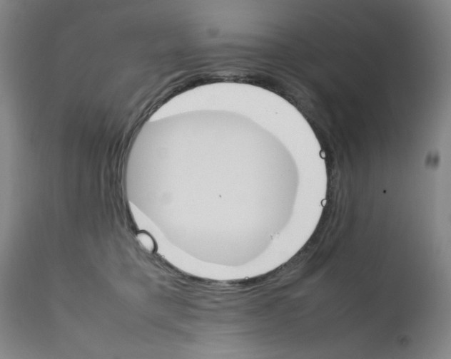 X0000111490421200908251030